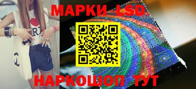 крисы Пенза