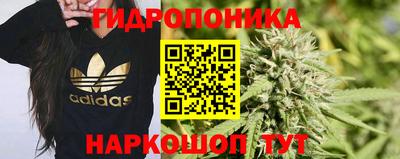 крисы Пенза