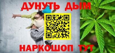 крисы Пенза