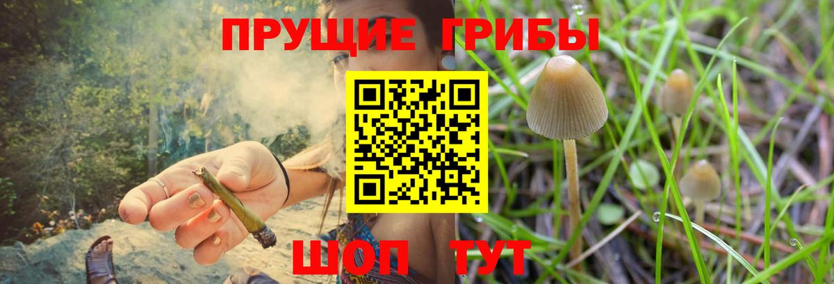 где продают наркотики  Галлюциногенные грибы Psilocybine cubensis  Вход с VPN  Псилоцибиновые грибы мухоморы  Сафоново 